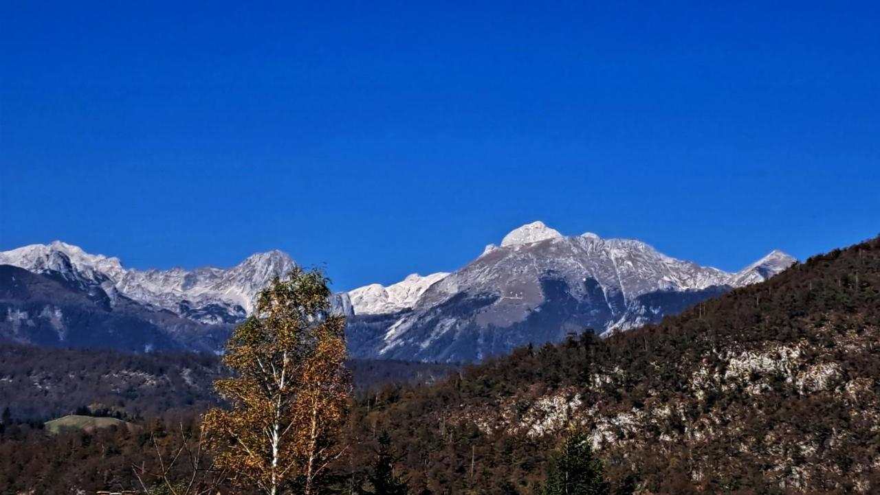 Apartmaji Alpski Cvet - Hisa Gorenc Bohinj Zewnętrze zdjęcie
