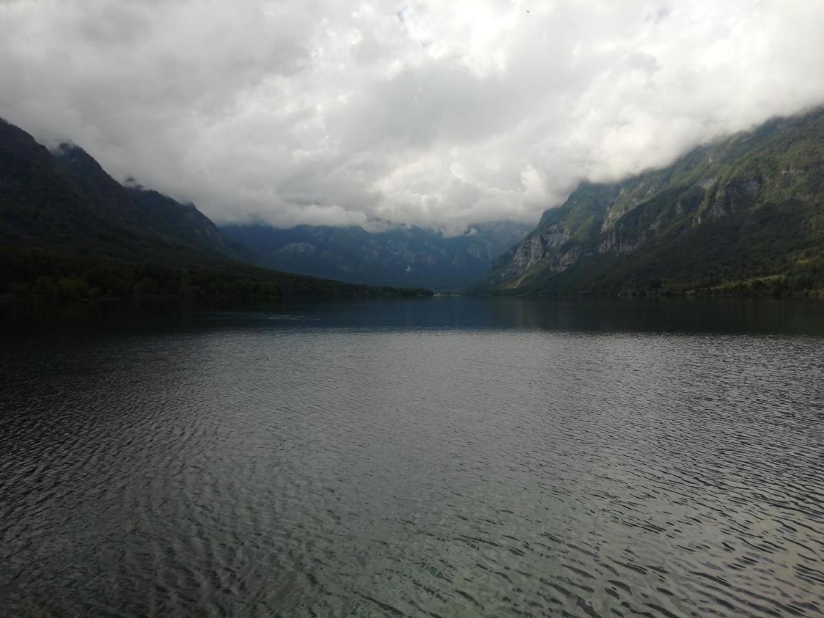 Apartmaji Alpski Cvet - Hisa Gorenc Bohinj Zewnętrze zdjęcie