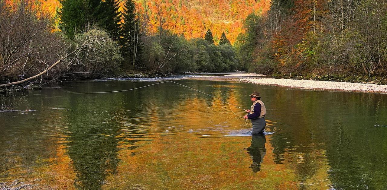 Apartmaji Alpski Cvet - Hisa Gorenc Bohinj Zewnętrze zdjęcie